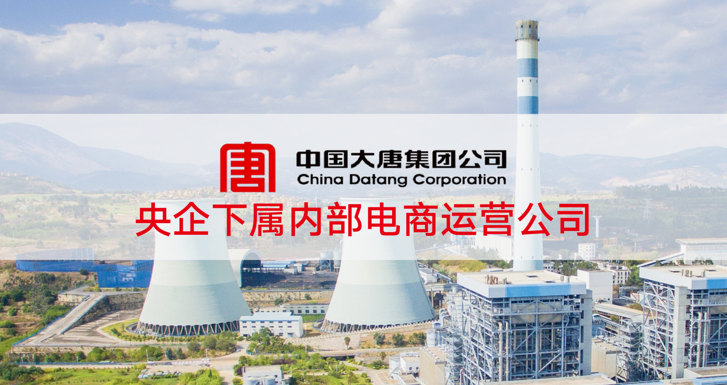 大唐集团 — 用友BIP采购云标杆客户