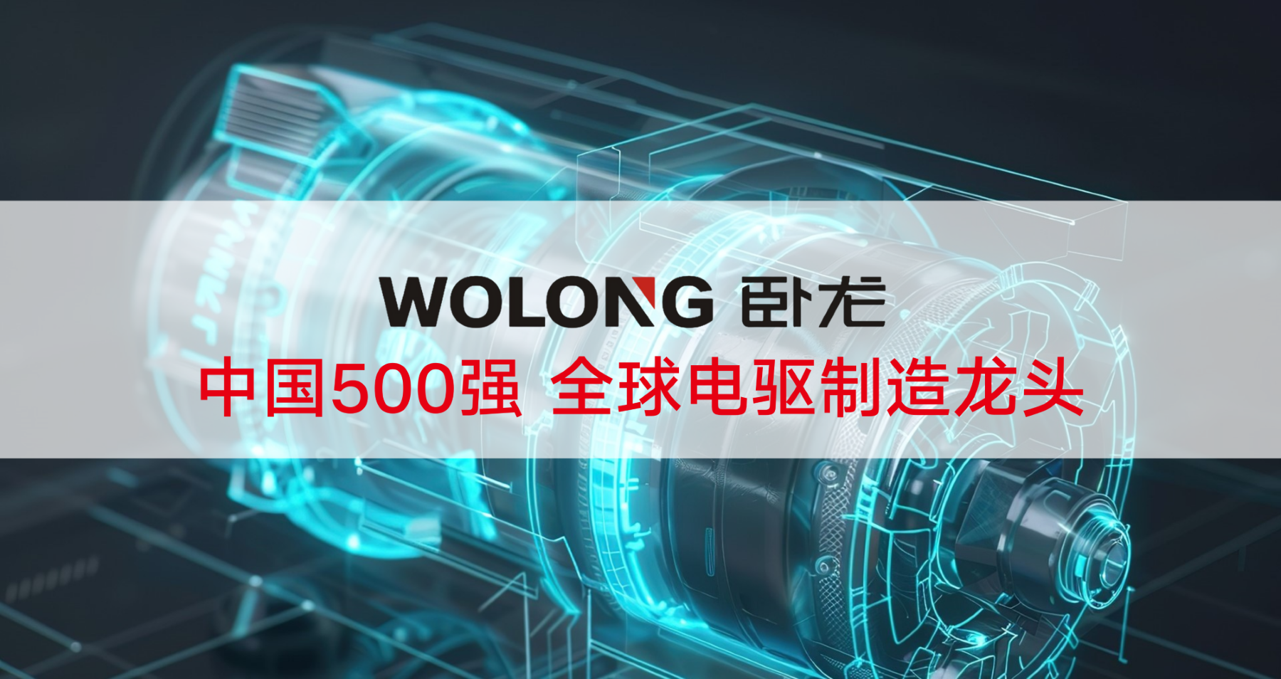 卧龙电驱集团 — 用友BIP采购云标杆客户